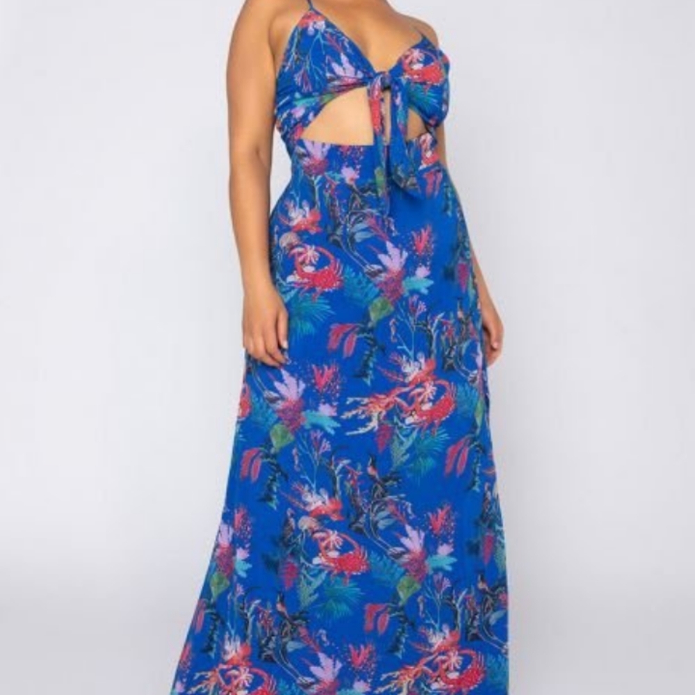 AKIRA Blue Floral Maxi Dress with Cutout Tie Front